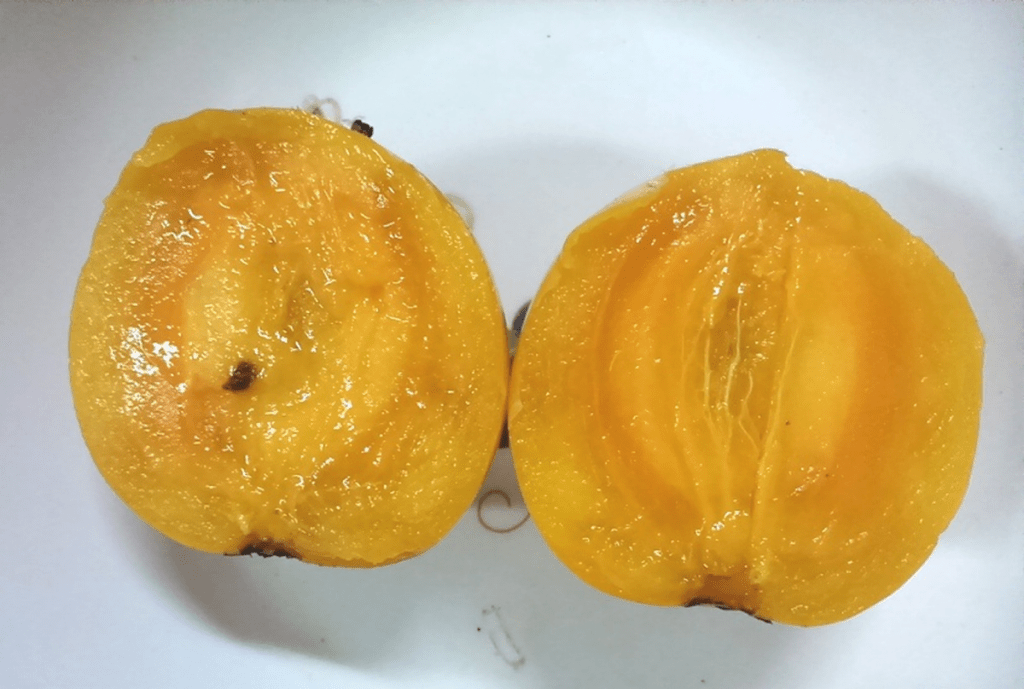 Mengenal Buah Mundu dari Jenis Hingga Manfaatnya