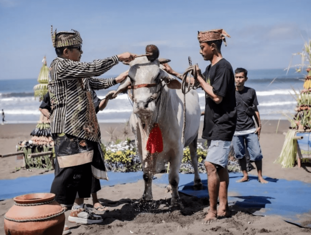 Meriahnya Parade Pegon, Tradisi Kuno dari Bumi Pandhalungan&nbsp;Jember