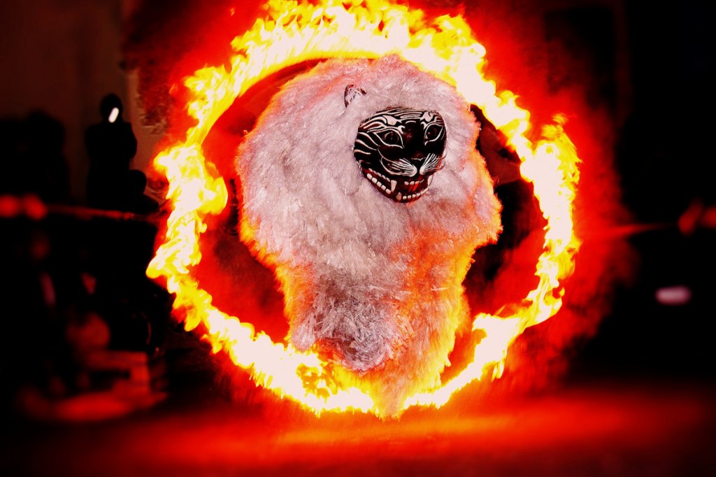 Ronteg Singo Ulung, Kisah Harimau Putih Jelmaan Kiai Sakti di&nbsp;Bondowoso