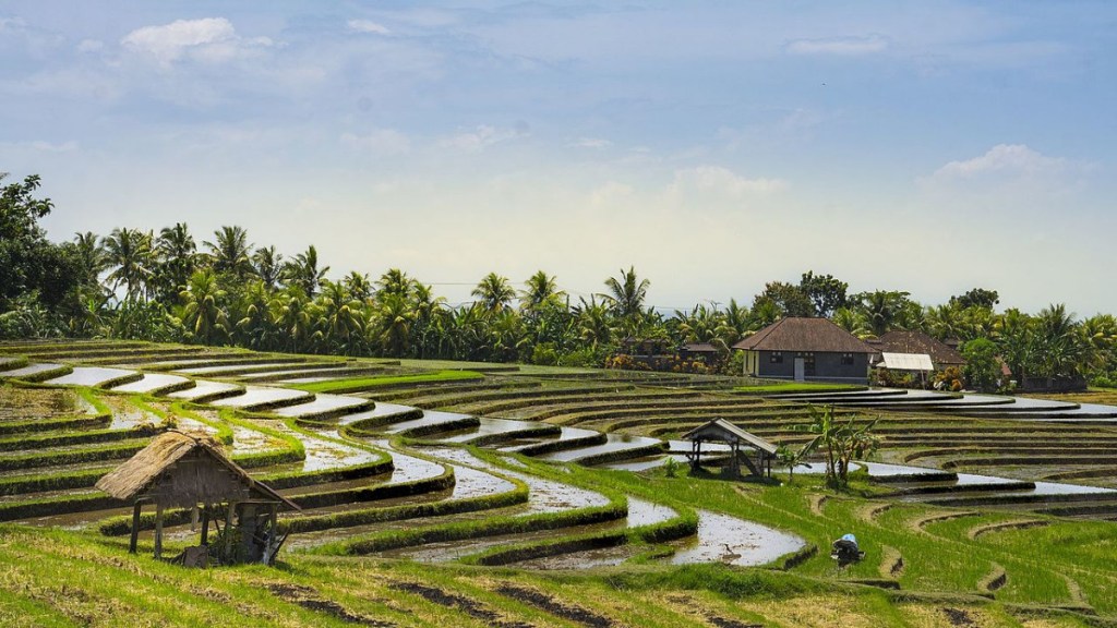 Subak, Kearifan Lokal Bali yang Jadi Inspirasi di 10th World Water Forum 2024