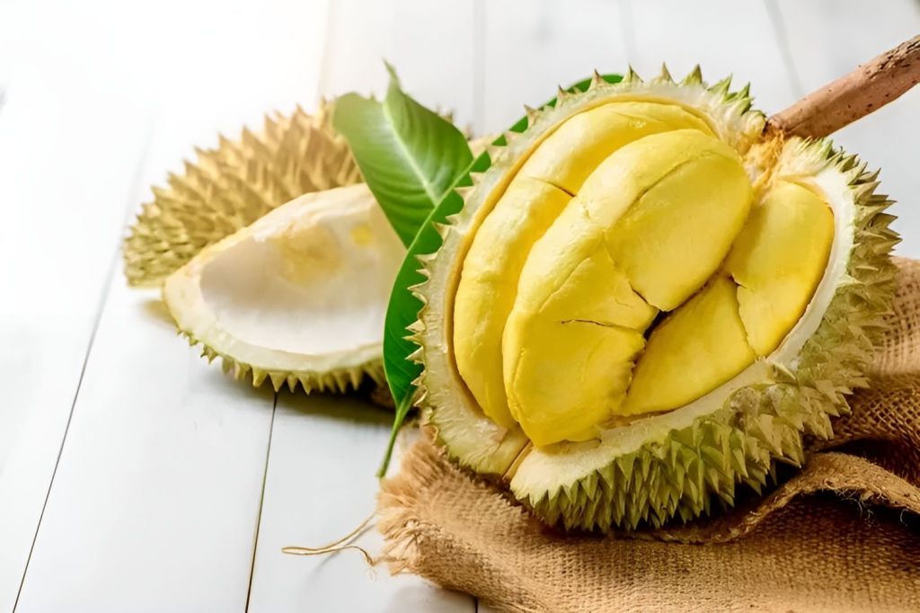 Menelusuri Asal Durian Musang King: Dari Mana Varietas Ini Berasal?