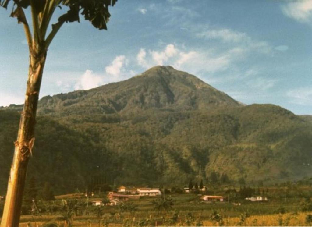 Ayo Berkunjung ke Gunung Lawu di Jawa Timur!