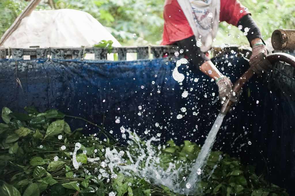 Tiga Brand Lokal Suarakan Isu Ramah Lingkungan Lewat Koleksi Baju dengan Pewarna Alami Tumbuhan