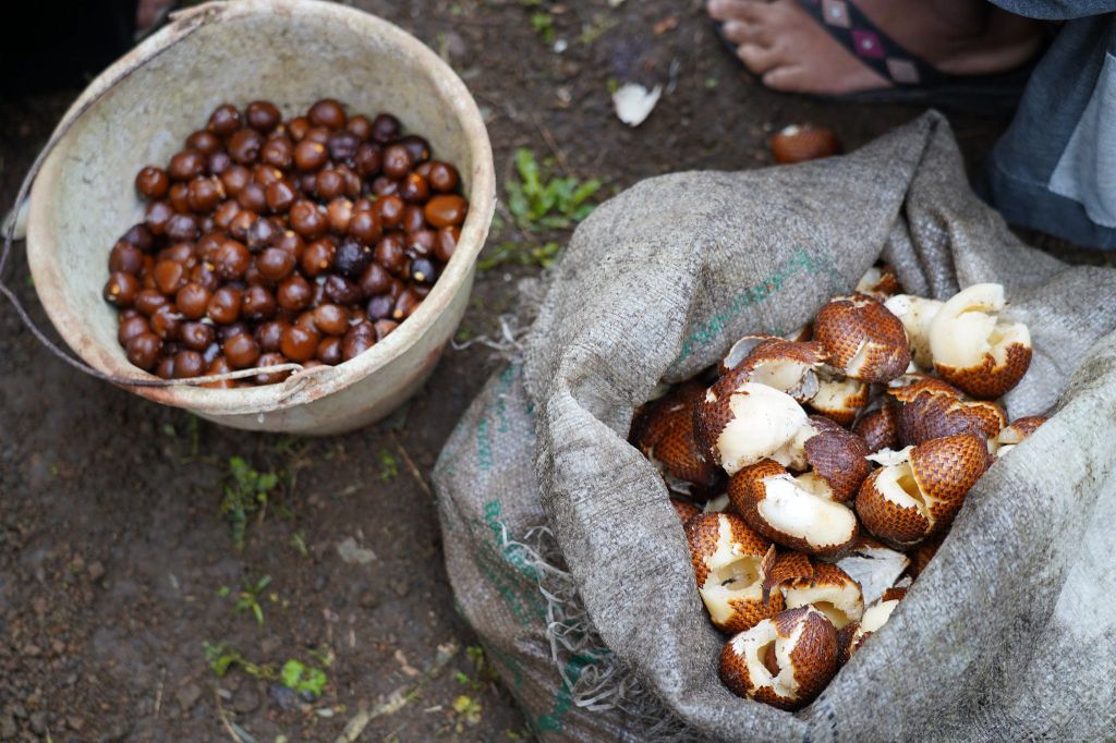 Kabar Baik! Budidaya Buah Salak di Bali Dapat Pengakuan Sistem Warisan Pertanian Global dari FAO